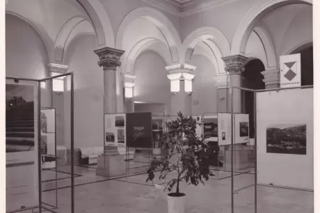 Dubrovniku - galerija slika - slika 3